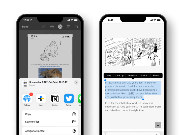 Screenshots of Ikes showing share view of text and image.